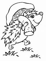Hedgehog Igel Ausmalbild Hase Carrying sketch template