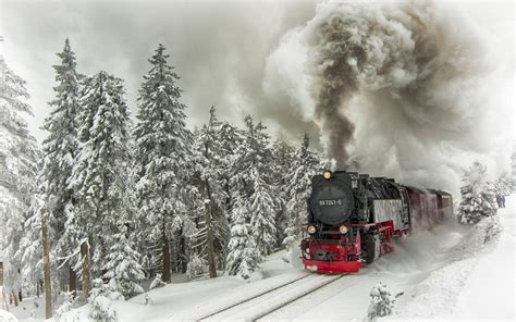 winter train winncolliercom