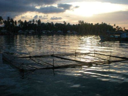 perikanan aceh singkil budidaya rumput laut  kec pulau  kab