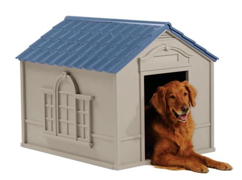 indoor dog kennels  sale classifieds