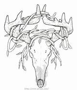 Deer Skull Vines Drawing Deviantart Coloring Ink Pages Outline Skulls Head Sketches Also Available Adult Getdrawings Antlers Updates Recent sketch template