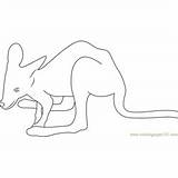 Kangaroo Coloring Baby Pages Kids Coloringpages101 sketch template