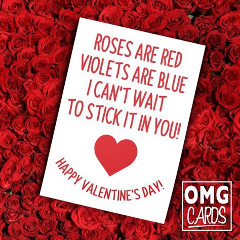 roses are red violets are blue i can t wait to stick it in you happy