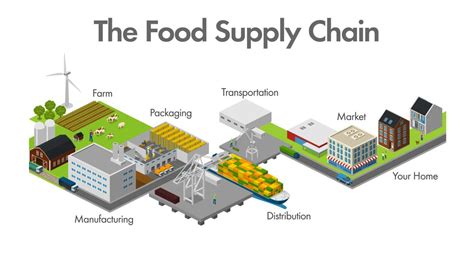 supply chain      food supply  disrupted