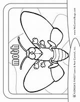 Coloring Moth Finest Florida Getcolorings Getdrawings sketch template