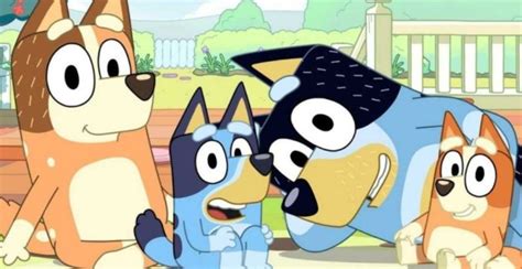 introduction  dads  bluey  awesome kids show
