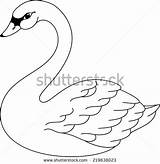 Swan Tundra Coloring 77kb 464px sketch template