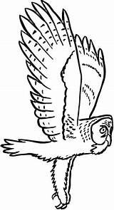 Owl Coloring Barn Pages Printable Kids Flying Color Dibujo Para Volando Buho Colorear sketch template