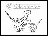 Coloring Velociraptor Dinosaur Printable Pages sketch template
