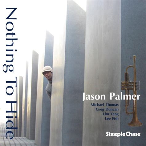 nothing to hide jason palmer amazon de musik cds and vinyl