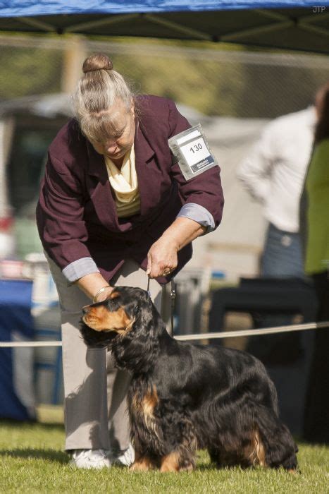 Nz Ch Lynmaken Fire Glow Ai Owned By Miss H M Stride And Mrs D R Smith