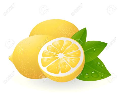printable lemons printable word searches