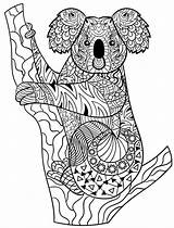 Koala Aboriginal Mandala Mandalas Ausmalbilder Coloriage Dieren Koalas Zentangle Volwassenen Australien Cards Indigenous Australie Kangourou Colorier Coloriages Pintar Magique Adulte sketch template
