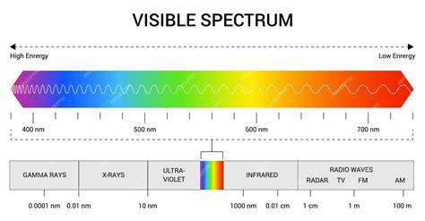 premium vector spectrum wavelength visible spectrum color range