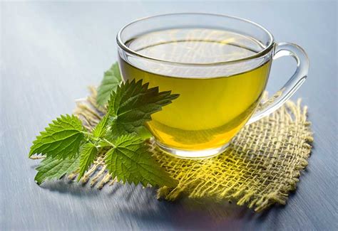 top  benefits  green tea start   habit   cup  green tea