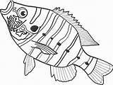 Coloring Fish Pages Snapper Kids Book sketch template