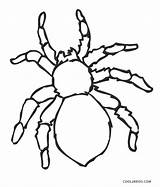 Printable Cool2bkids Spinne Ausmalbilder Tarantula Insetos Aranhas Malvorlagen Consideradas Elas sketch template