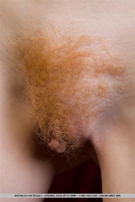 ginger pubes pussy 122617 lovely hairy women vulvabelulva