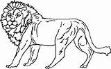Coloring Aslan Narnia Legendary Sheet Lion sketch template