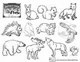 Coloring Animals Pages Woodland Printable Arctic Hibernation Winter Kids Animal Tundra Brett Jan Yoga Creatures Hat Book Drawing Preschool Forest sketch template