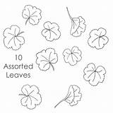 Geranium Patterns Coloring Pages Reviews Justpaintitblog sketch template