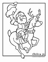 Coloring Reindeer Rudolph Santa Pages Christmas Kids Printer Send Button Special Print Only Use Click Woojr sketch template