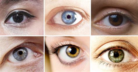 eyes   colors  science based