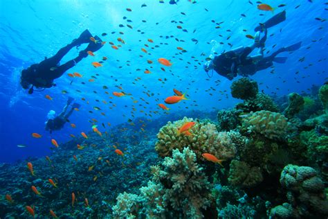 life bucket list  scuba diving  chronicles  kim