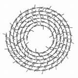 Filo Spinato Barbed Clew Spirale Frontale Depositphotos Pictogram Linear Isolated Grafica sketch template