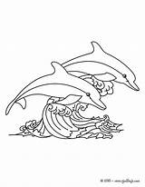 Lumba Mewarnai Hellokids Delfines Saltando Dolphin Dauphins Halaman Golfinhos Ikan Dolphins Ligne Ausmalen Dauphin Mer Malvorlagen Dessus Vagues Sautant Delphine sketch template
