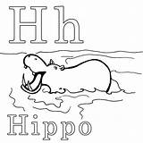 Hippo Coloring Netart Color sketch template