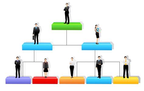 common organizational structures   small businesses