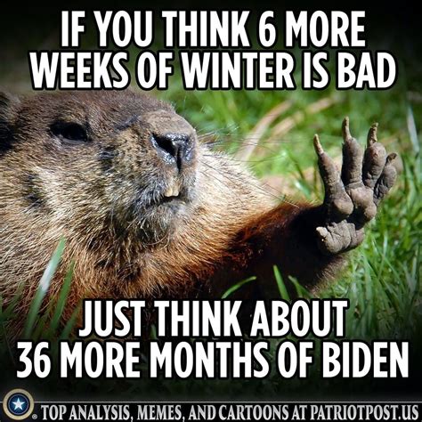 6 More Weeks Of Winter Meme Daily Status