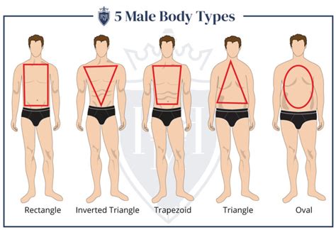 Body Shape And Men S Style How To Dress For Your Body Type