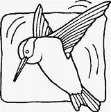 Uccelli Verschiedene Vogel Disegno Aves Bookmark sketch template