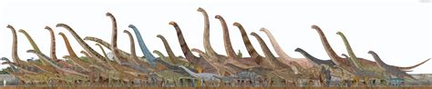 sauropodomorpha  sameerprehistorica  deviantart