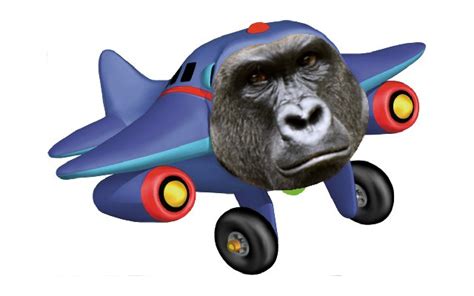 haramjay the jet plane did 9 11 upplane for haramjay to fly again