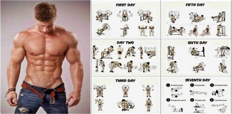 weight training programs  build muscle  gain weight project