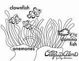 Anemone Coloring Sea Pages Drawing Getcolorings Print Color Pag Anemones Getdrawings Printable sketch template