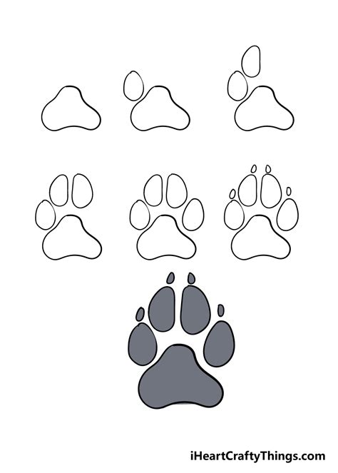 dog paw drawing   draw  dog paw step  step