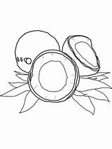 Coconut Coloring Pages Tree Printable Drawing Fruits Color Kids Template Getcolorings Categories Pag Recommended sketch template