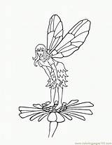 Coloring Fairy Pages Printable Popular sketch template