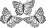 Butterfly Coloring Pages Printable Adult Print Monarch Butterflies Adults Beautiful Cute Colouring Color Animal Drawing Animals Template Caterpillar Big Detailed sketch template