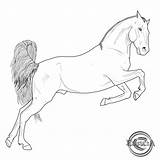 Horse Lineart Deviantart Cliparting sketch template