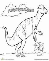 Coloring Pachycephalosaurus Color Therapy Pages Template Dinosaurs sketch template