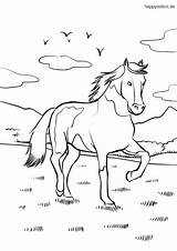 Pferd Ausmalbild Weide Schecke Happycolorz Malvorlage sketch template