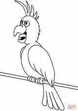 Parrot Coloring Cartoon Pages Supercoloring Printable Drawing Categories sketch template