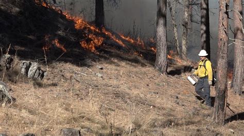 forest service facilitates controlled  acre burn southwest  hill city