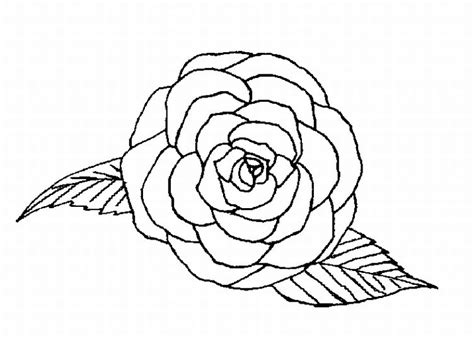 flowers coloring pages rose  getcoloringscom  printable