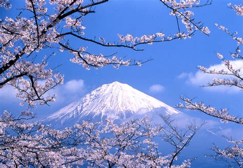 mount fuji japans loftiest  holiest peak washingtonian post